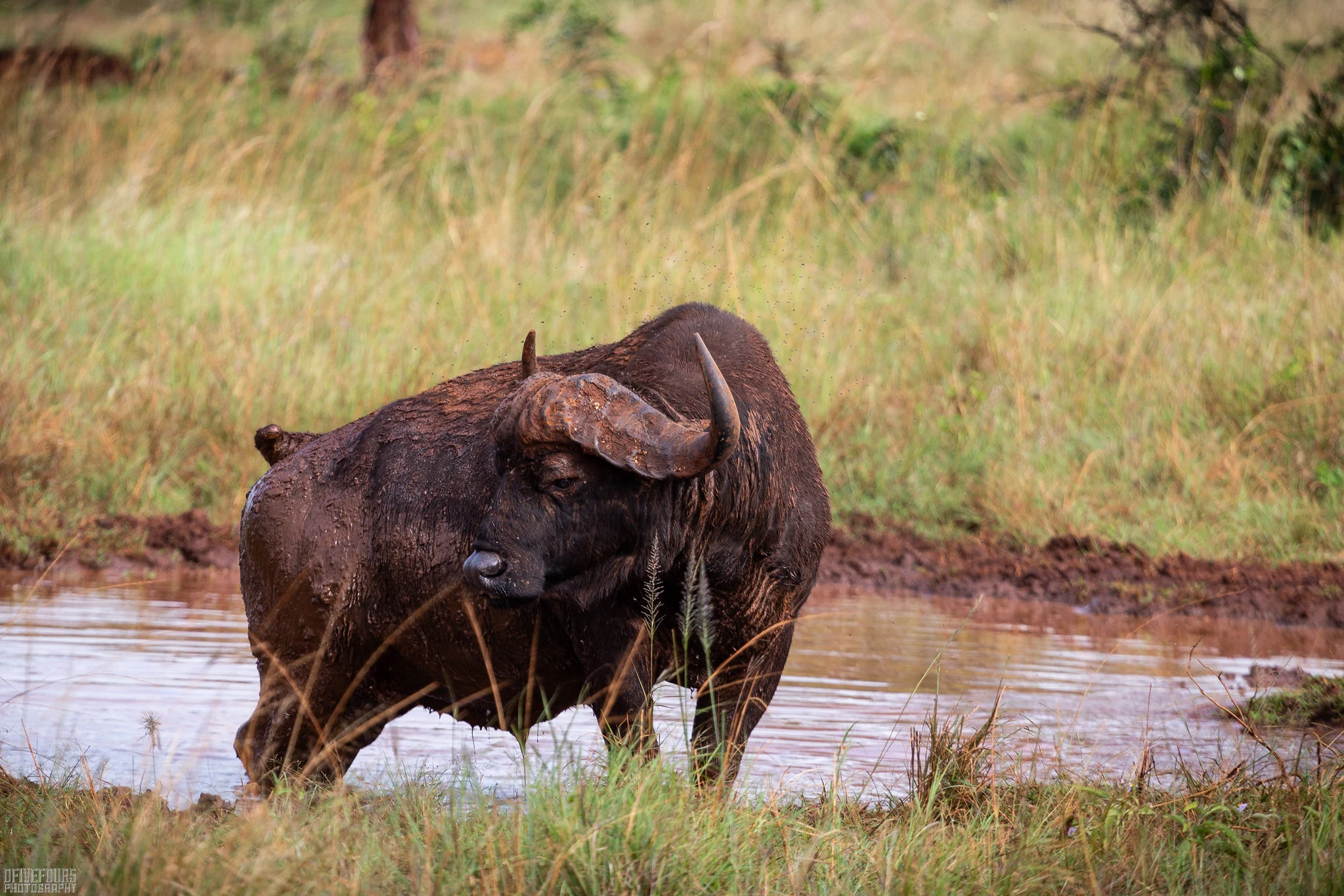 3 Day Akagera National Park Wildlife Tour