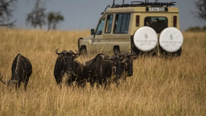 Serengeti National Park