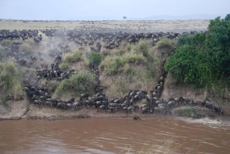 7 Days Best of Kenya Safari Holiday