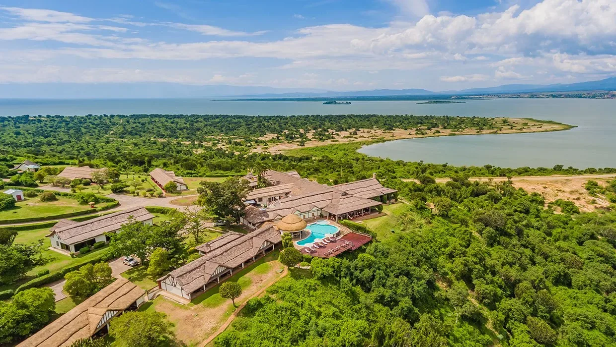 5 Day Primates, Gorilla and Chimpanzee Trekking Safari