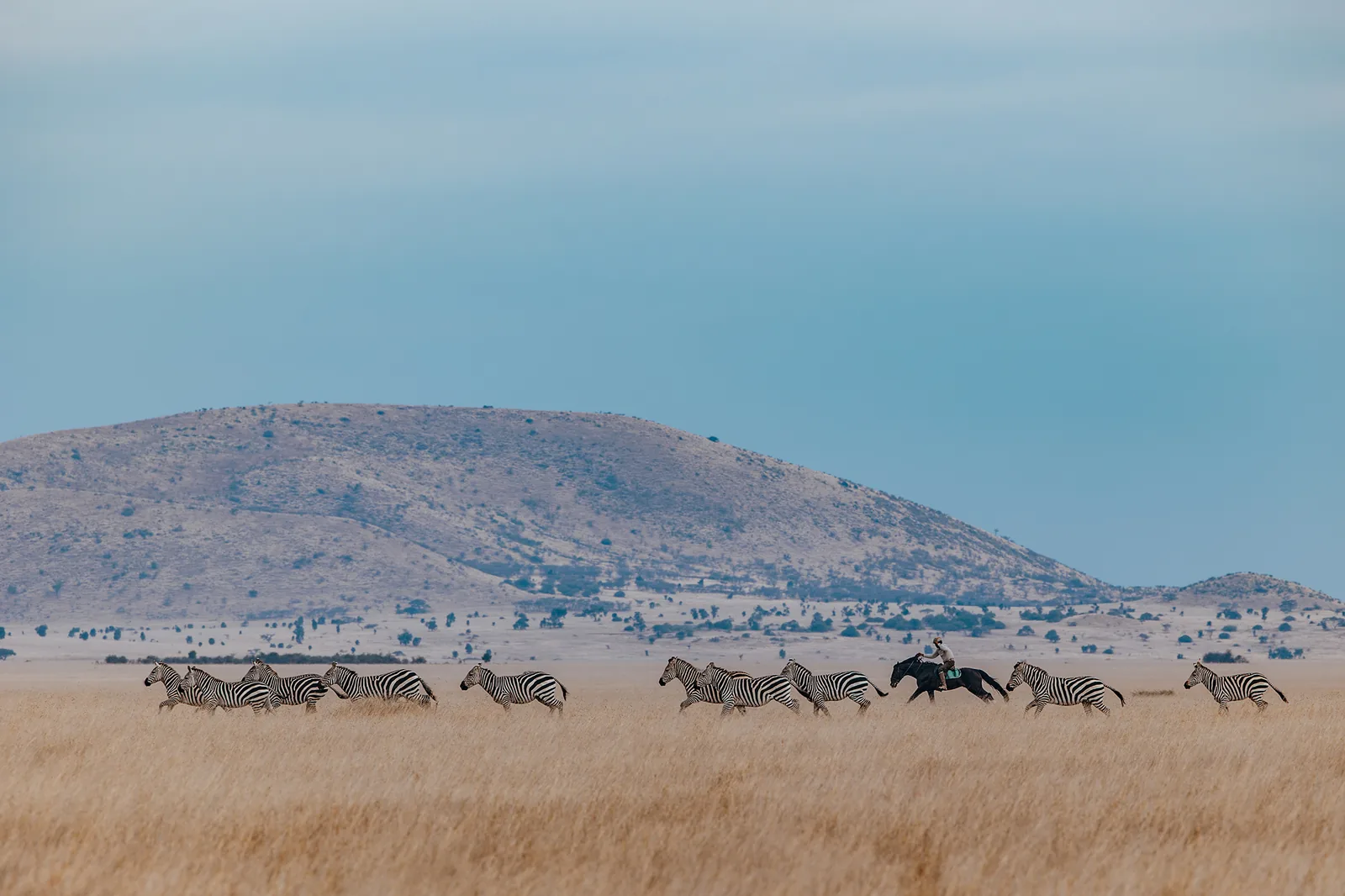 4 Days Masai Mara & Lake Elementaita Safari Holiday