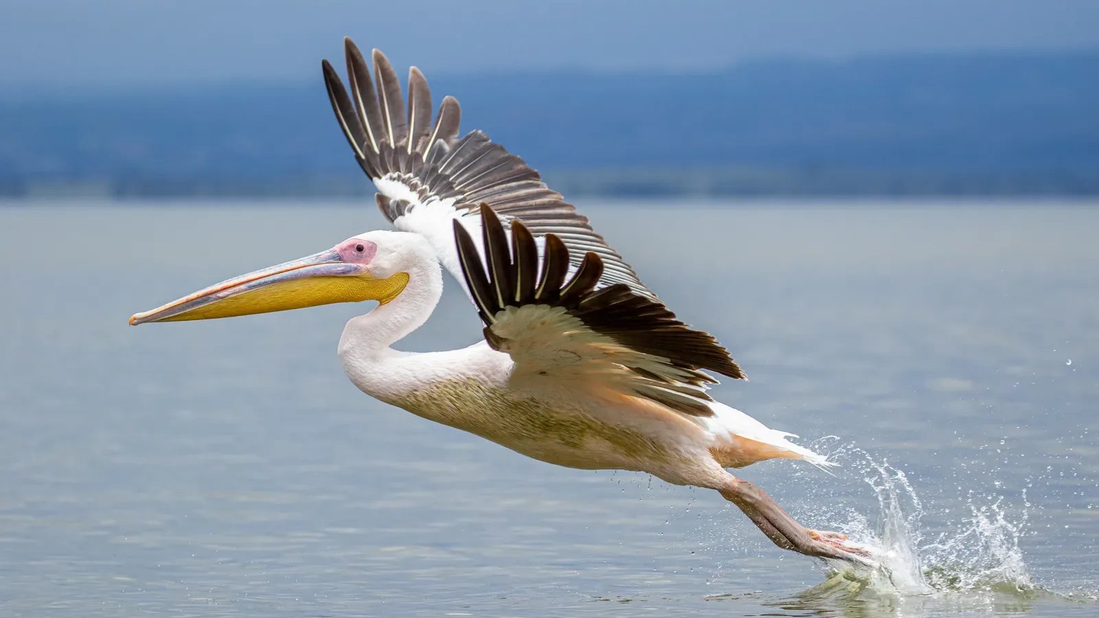 Lake Nakuru National Park