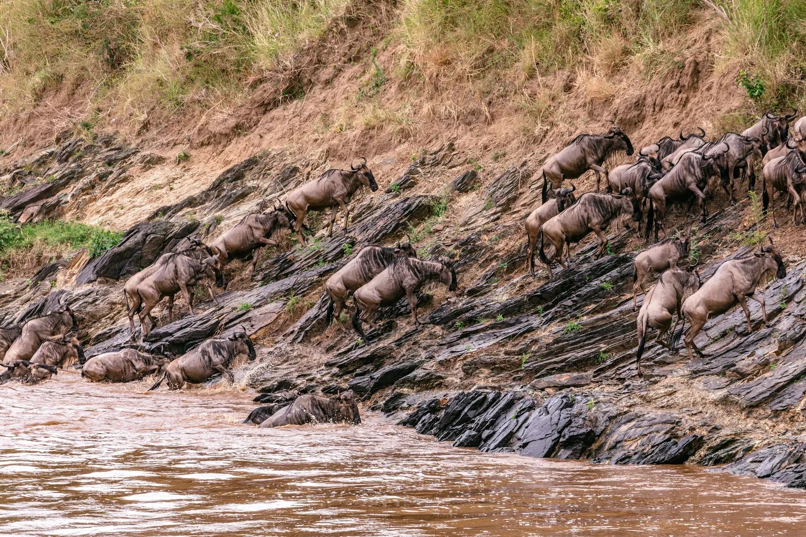 Maasai Mara National Reserve