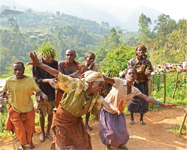 5 Day Primates, Gorilla and Chimpanzee Trekking Safari
