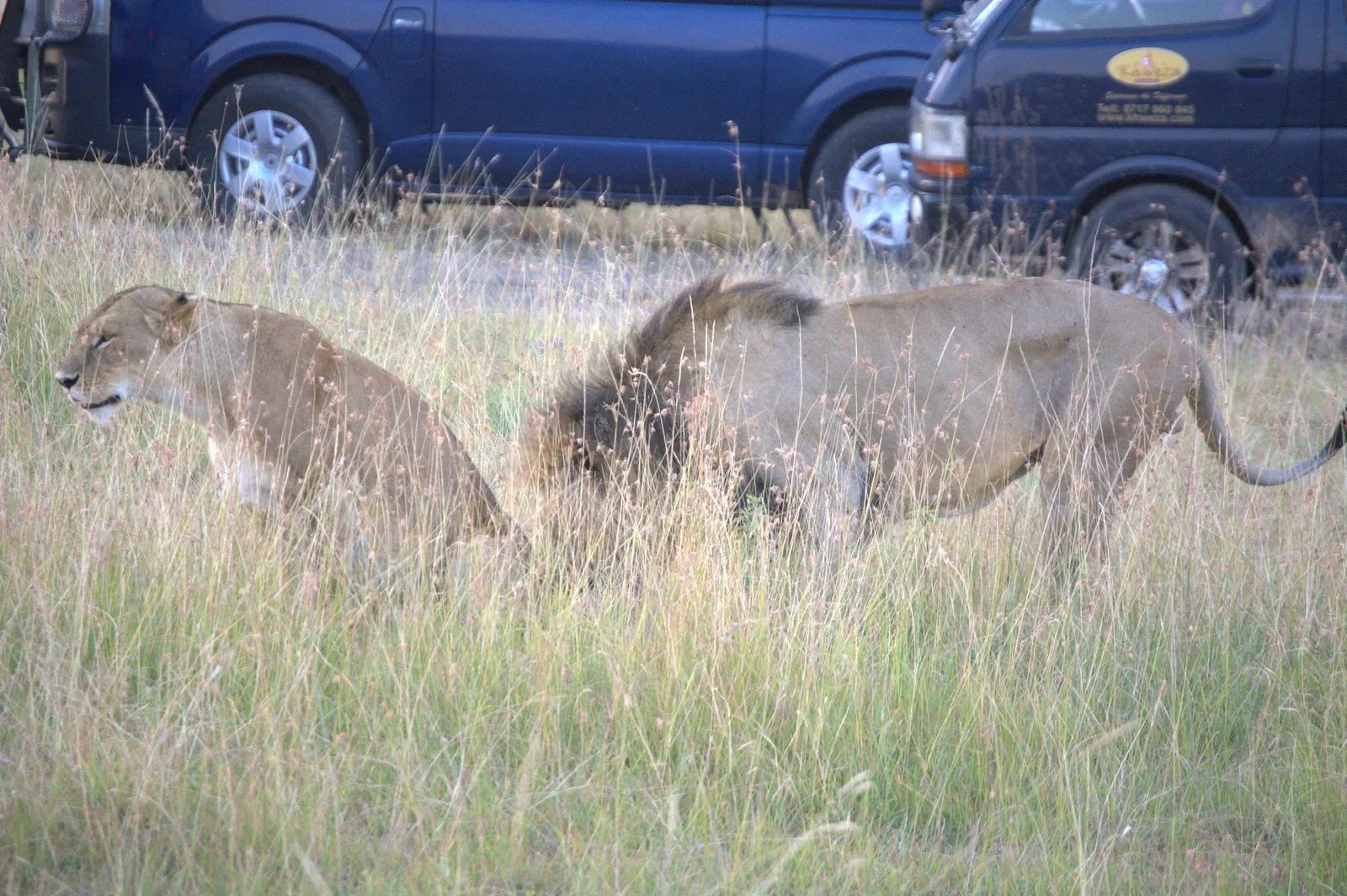 9 Days Explore Kenya Wilderness Safari
