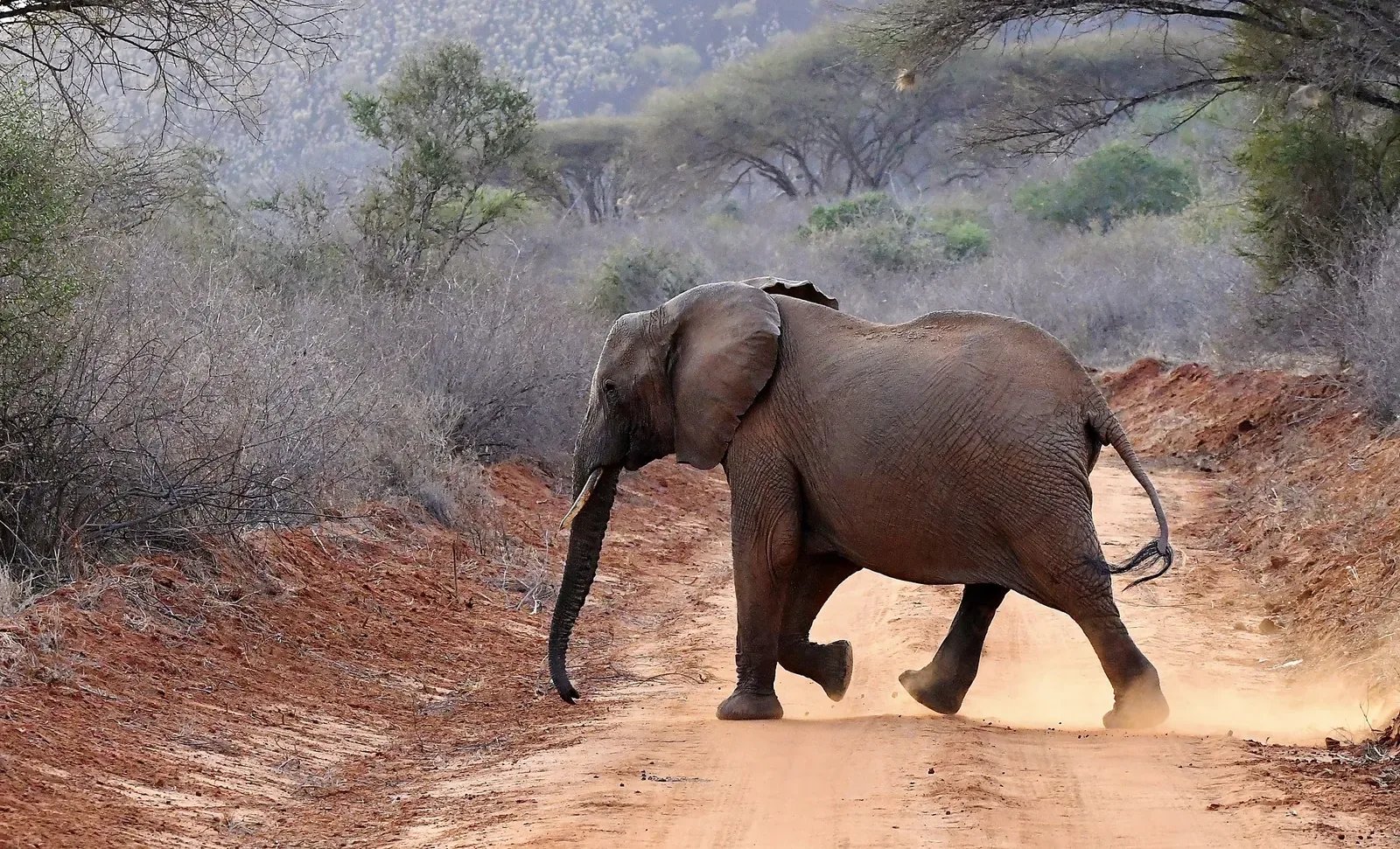9 Days Explore Kenya Wilderness Safari