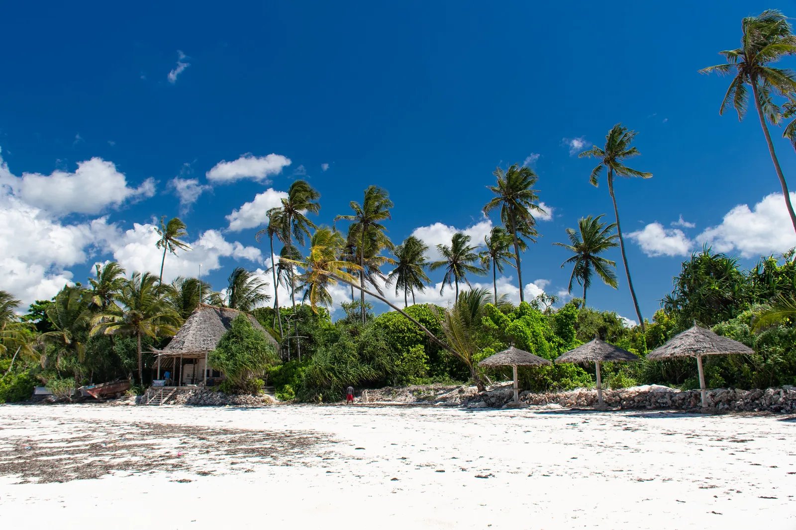 Zanzibar