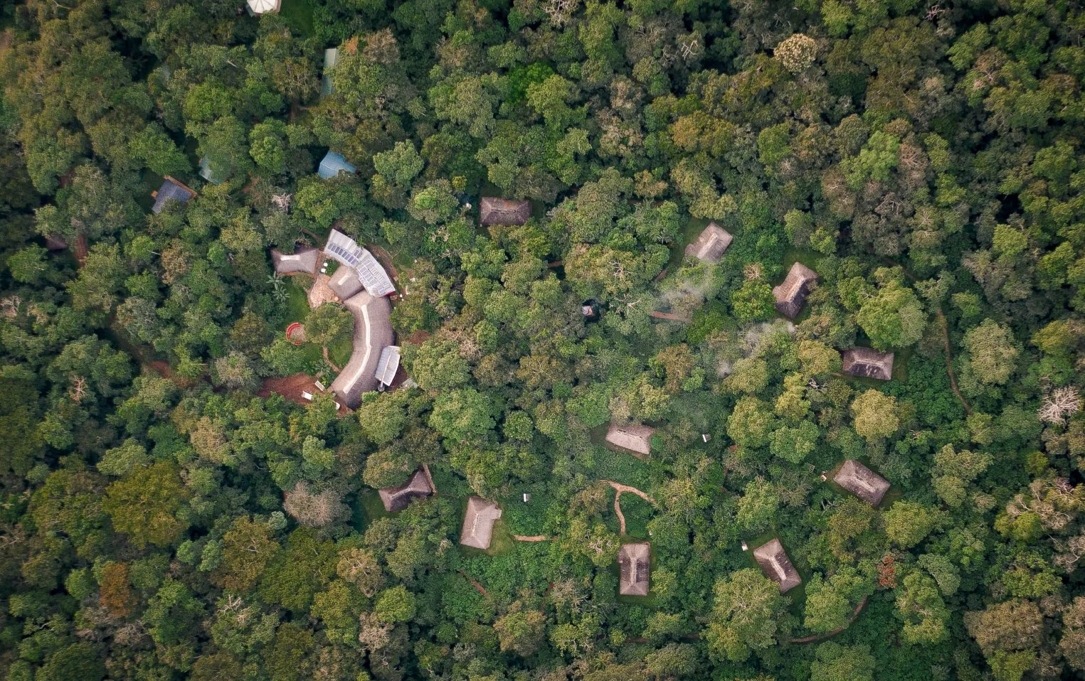 Rainforest Lodge, Mabira